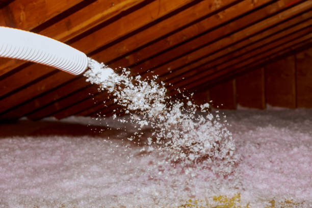 Best Insulation for Specific Applications in Lomita, CA