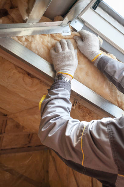 Best Residential Insulation in Lomita, CA